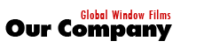 Our Company